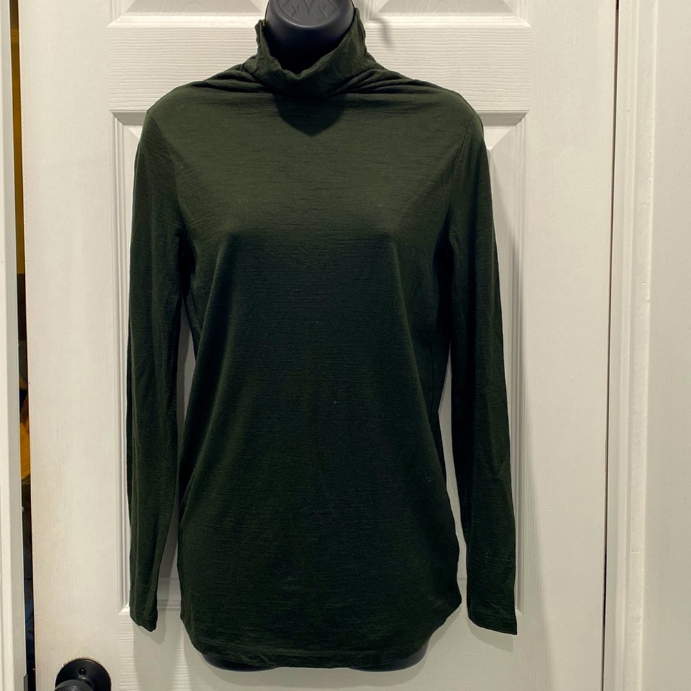 COS Long Sleeved Wool Turtleneck Top